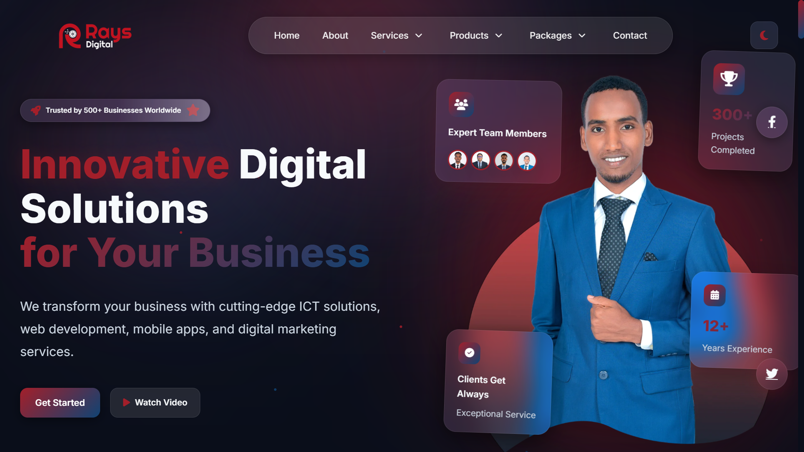 rays digital website